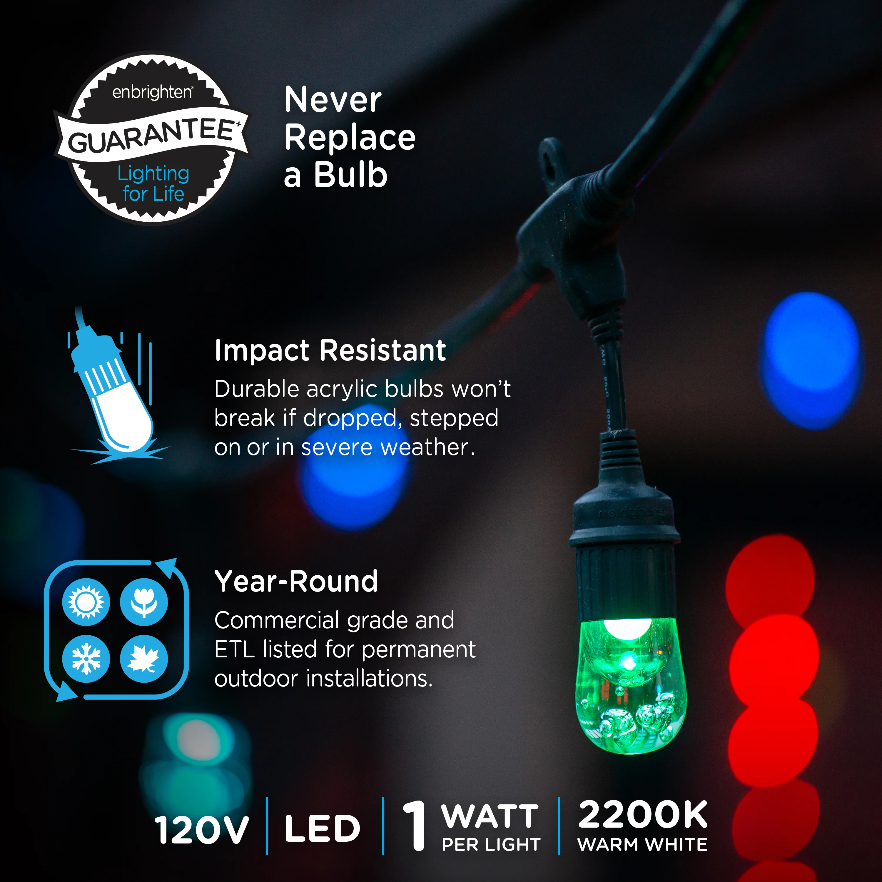 Enbrighten Seasons Color-Changing Classic LED Cafe Lights, 10 Bulbs, 20ft. Black Cord - Image 5