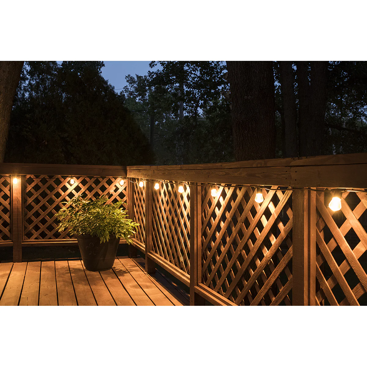 Lights by Night LED Bistro String Lights, 24 Bulbs, 48ft. Black Cord - Image 6