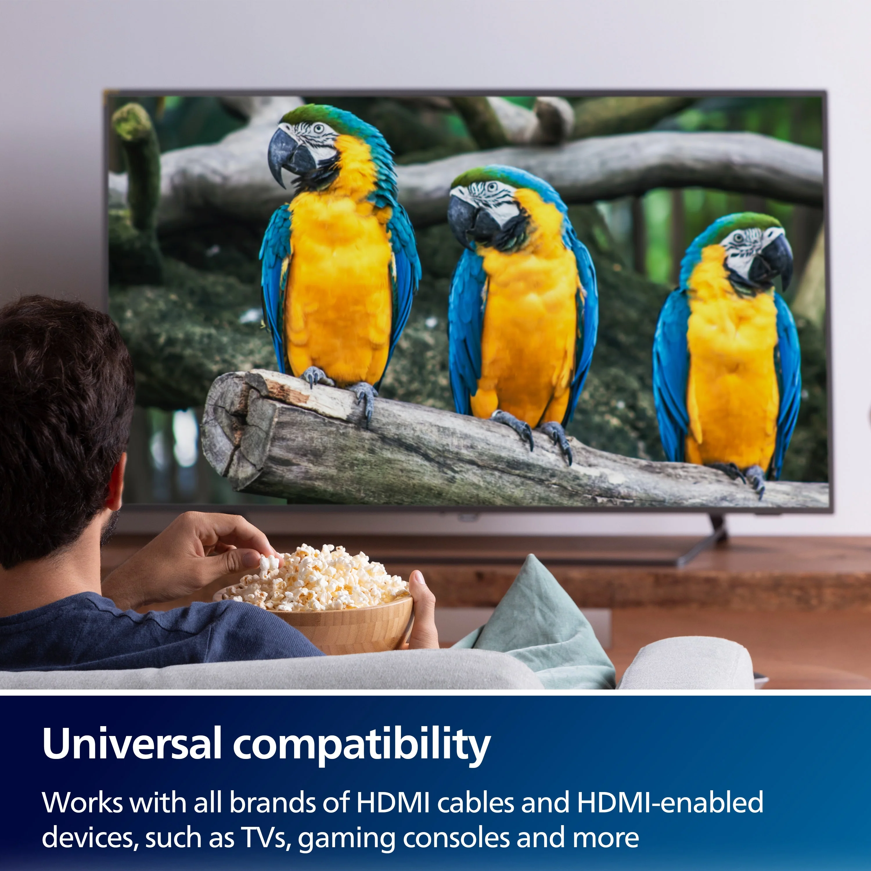 Philips Elite 2-Port HDMI 2.1 Switch, Silver - Image 6